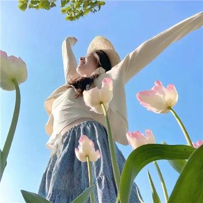 亚当变奏曲